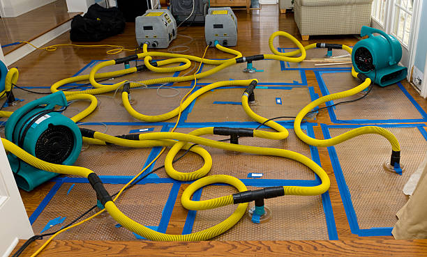 Professional Water Damage Repair technician working in White Mountain Lake, AZ